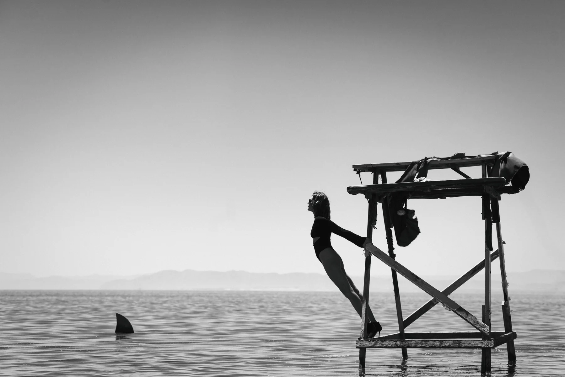 High Stakes — A woman leans above the water as a fin breaks its surface. Photograph by Albert Pocej, California.