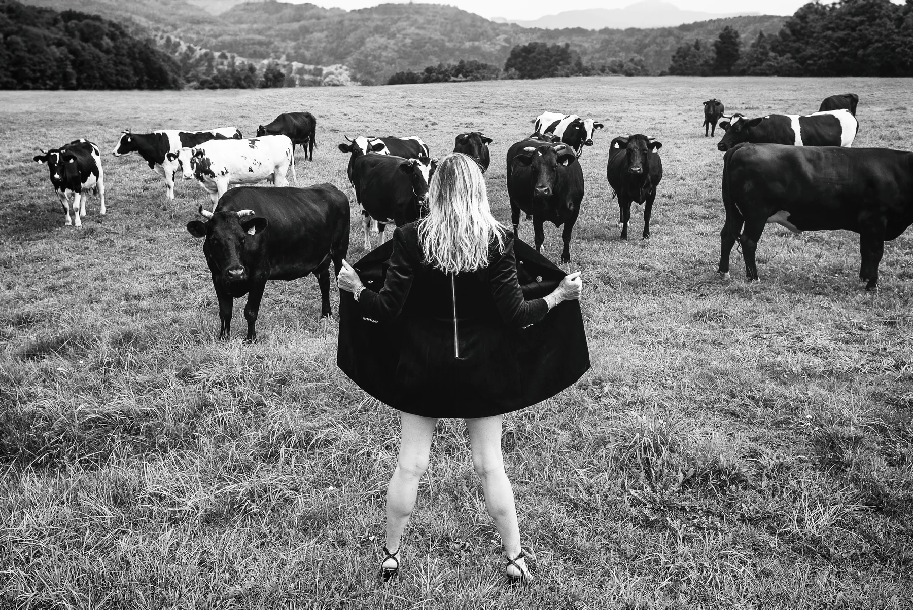 Pastoral Call — A lifted skirt meets the gaze of a herd of cattle. Photograph by Albert Pocej, On the Edge.
