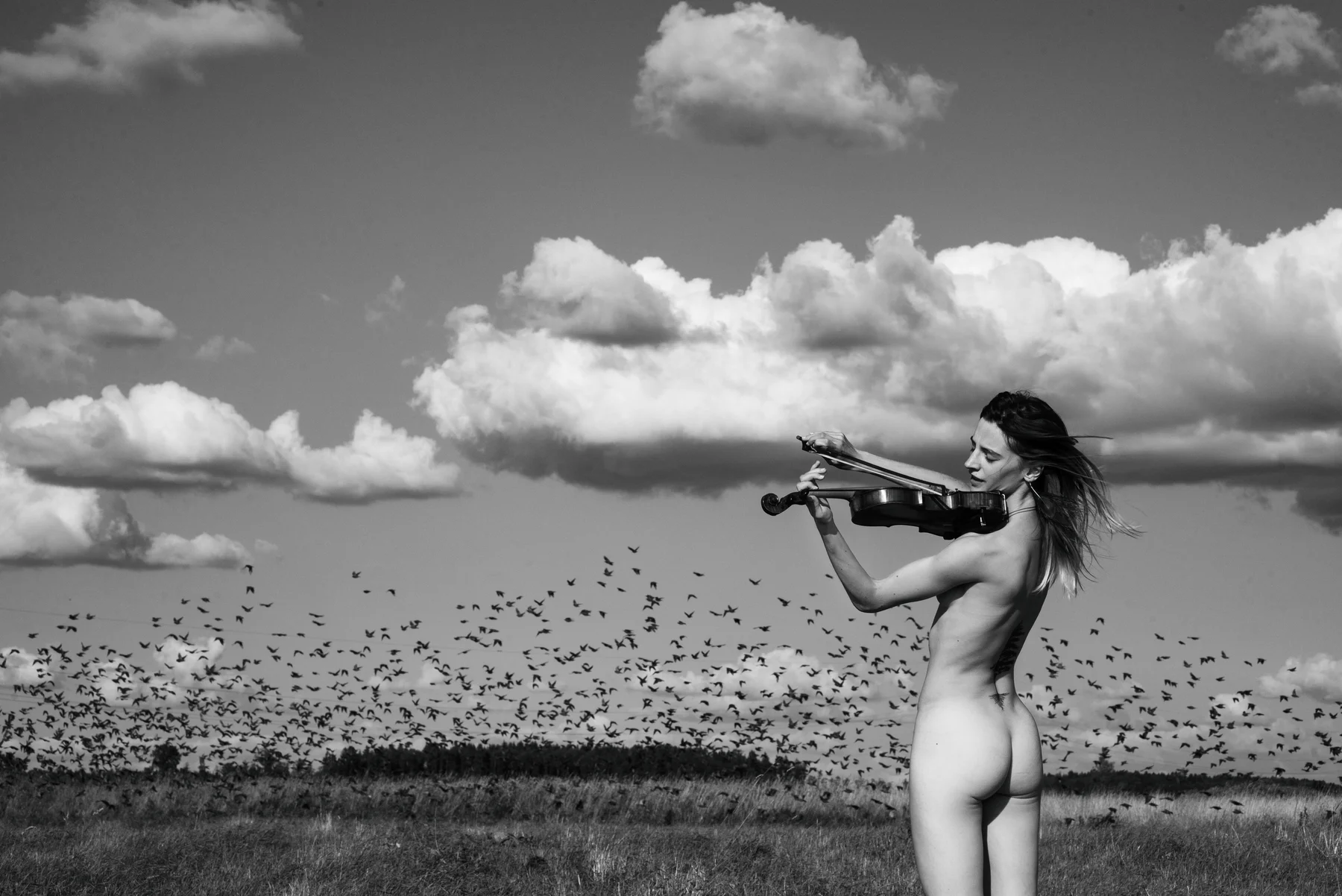 The Sound Of Being — A violin is played beneath clouds and a sky full of birds. Photograph by Albert Pocej, Attachment Issues.