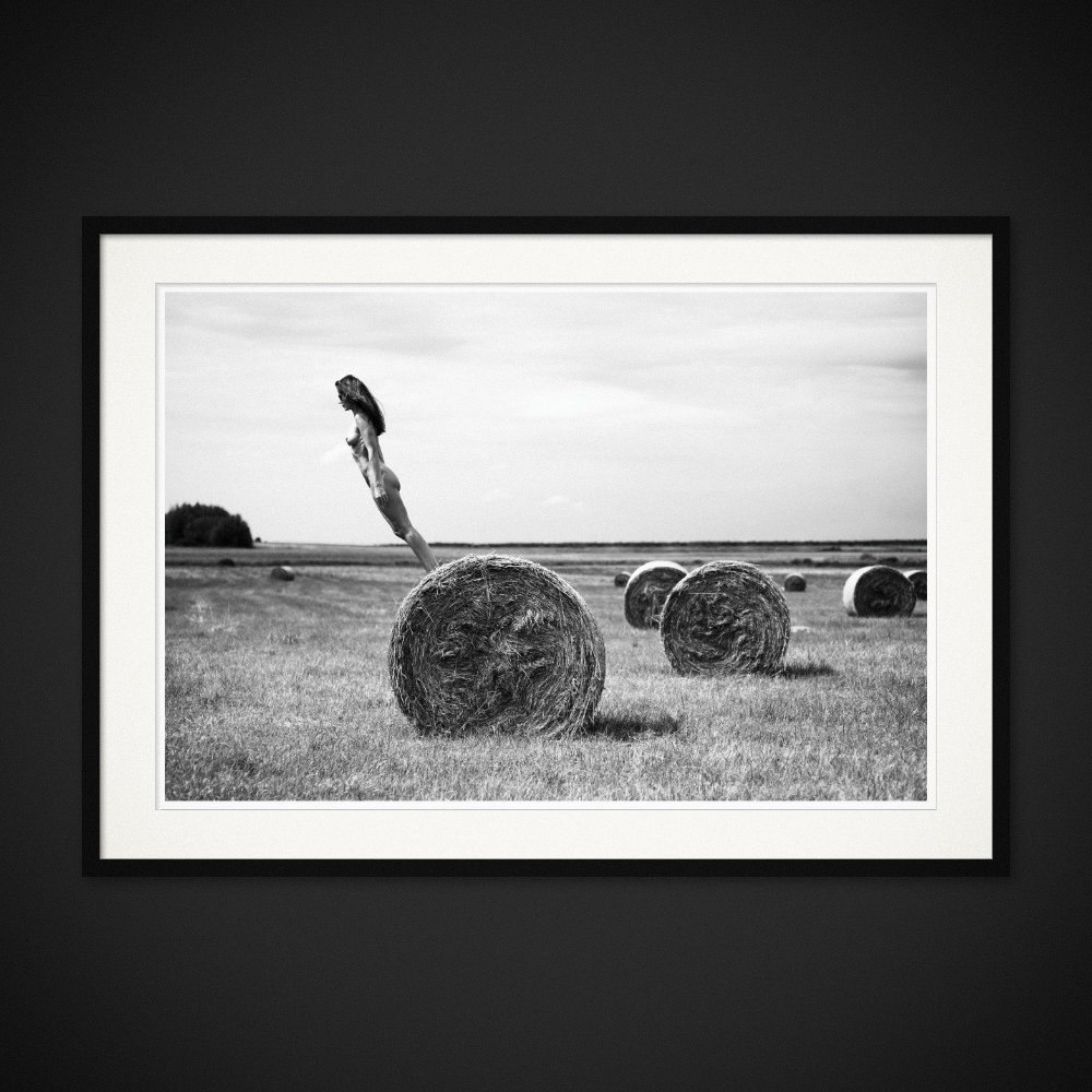 Field Of Gold — A body tips into the sky above a round hay bale. Framed edition by Albert Pocej.