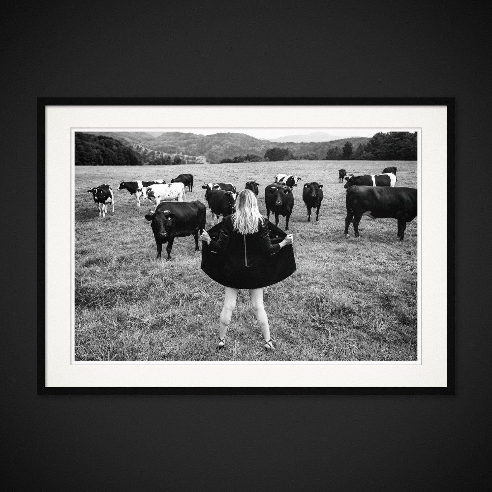 Pastoral Call — A lifted skirt meets the gaze of a herd of cattle. Framed edition by Albert Pocej.