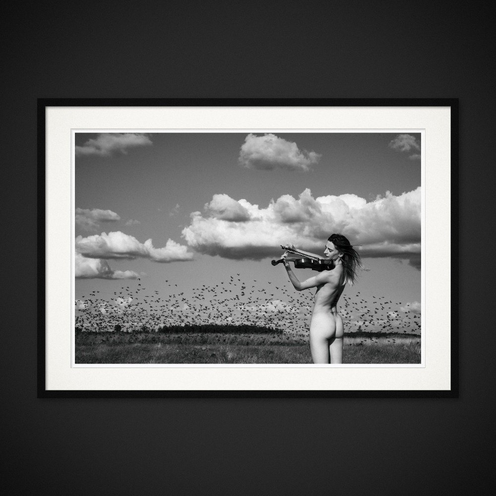 The Sound Of Being — A violin is played beneath clouds and a sky full of birds. Framed edition by Albert Pocej.